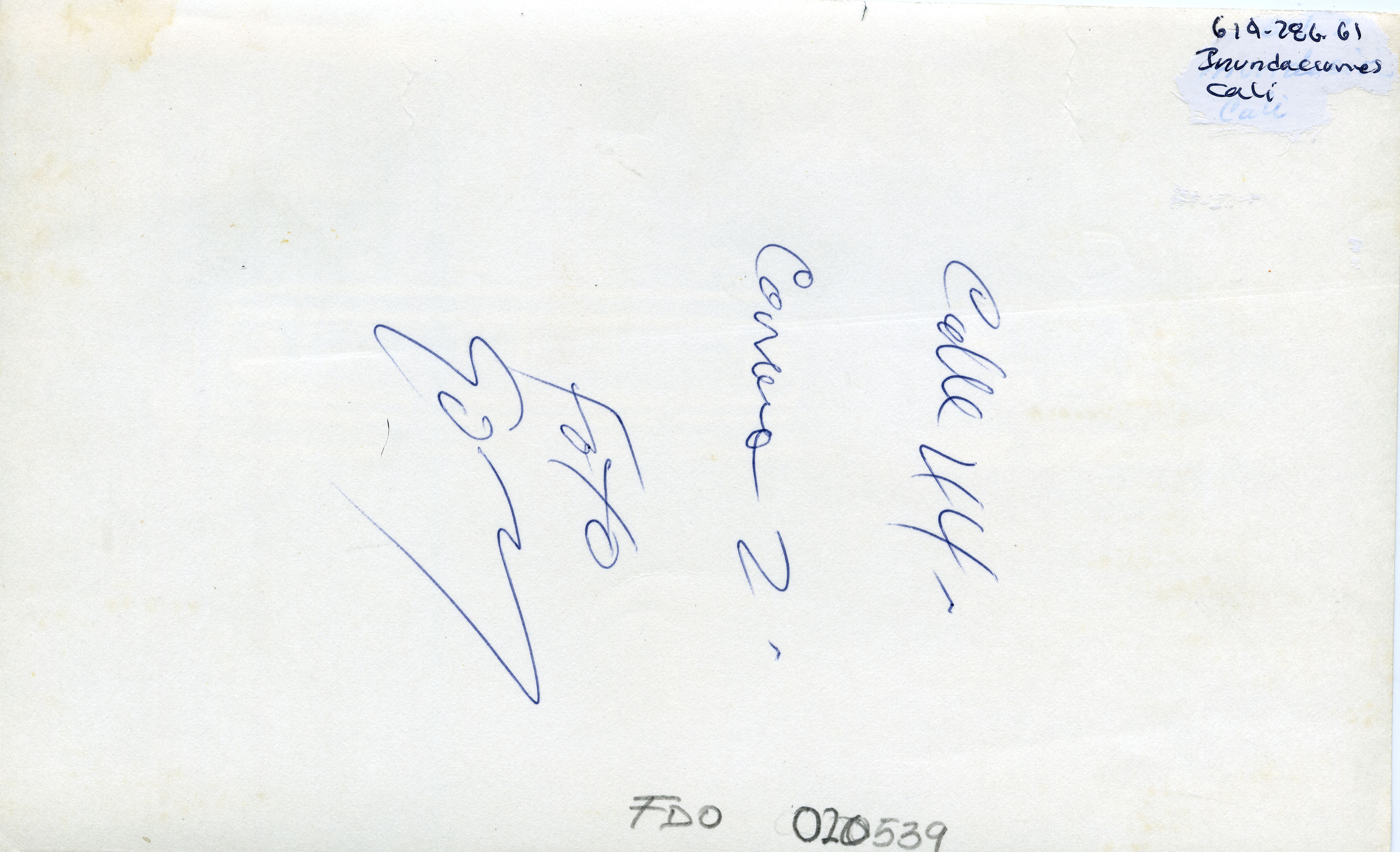 FDO020539A.jpg