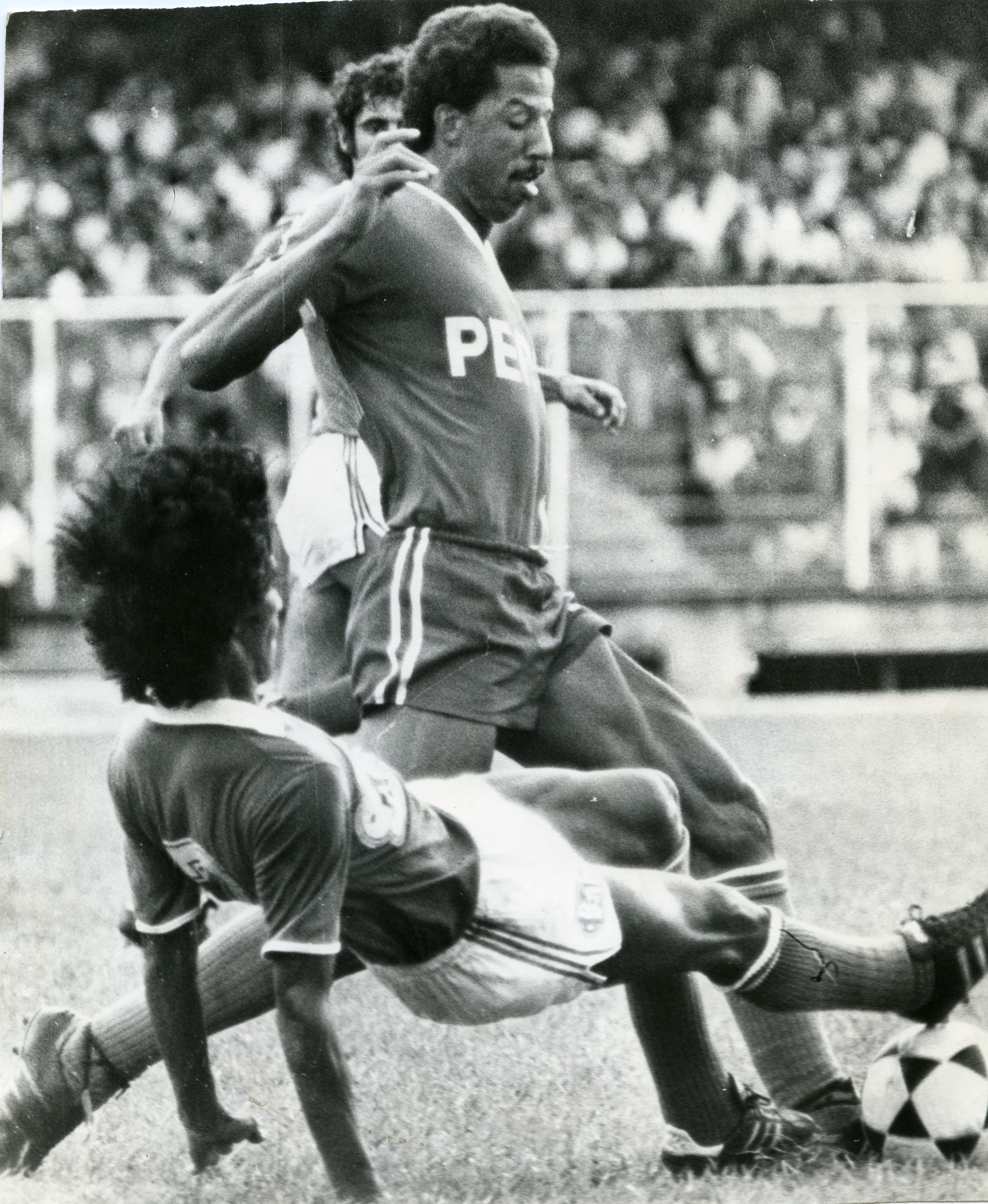 FDO019819.jpg