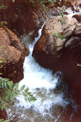 497-12.jpg