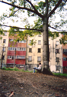 124-18.jpg