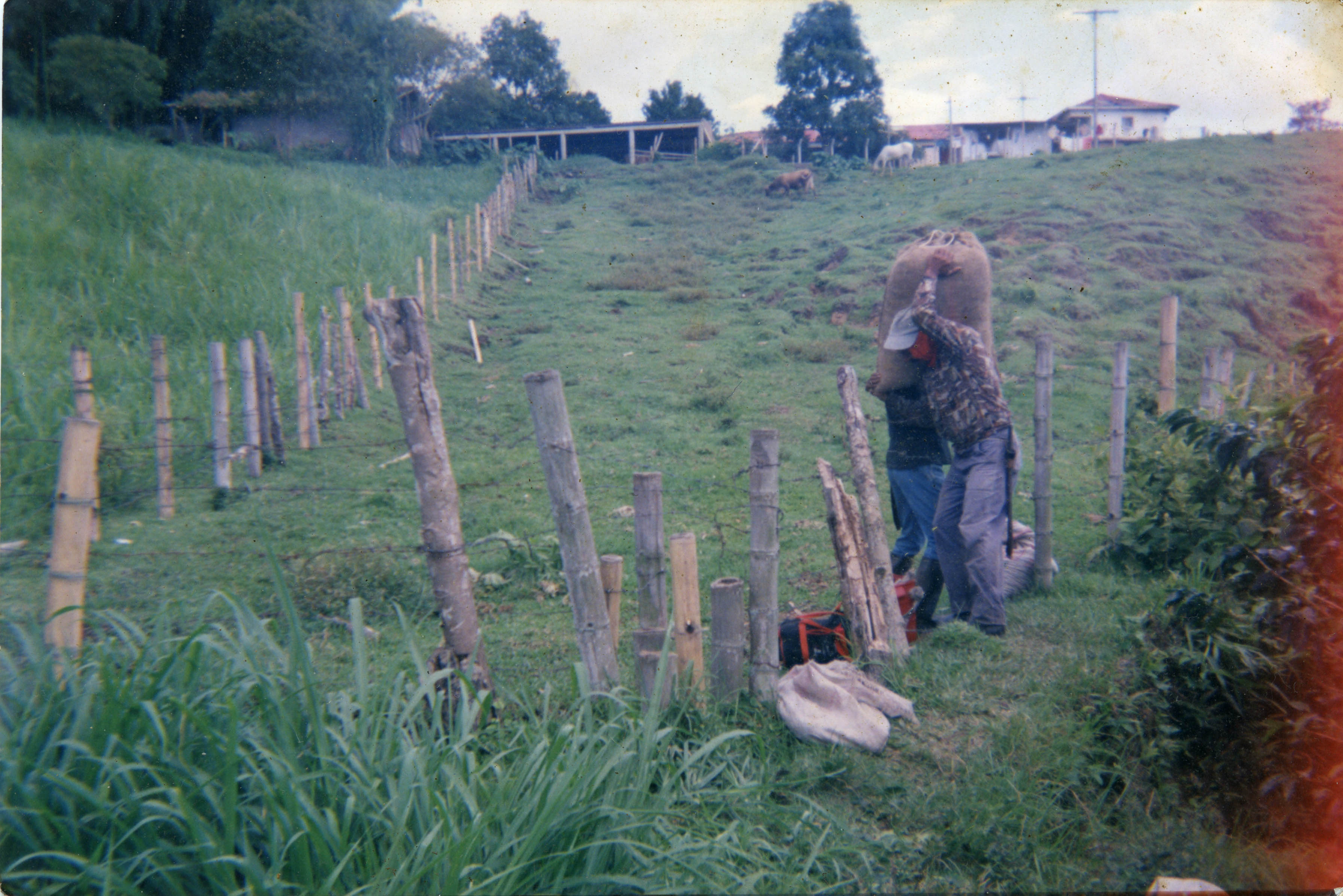 PCCC0652.jpg