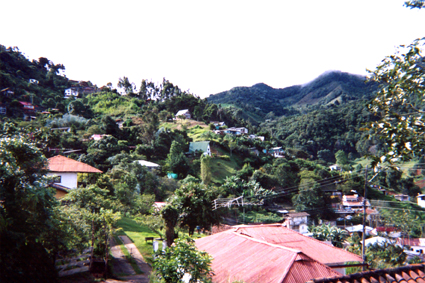 503-28.jpg