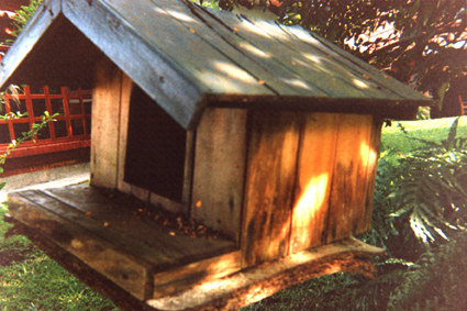 490-10.jpg