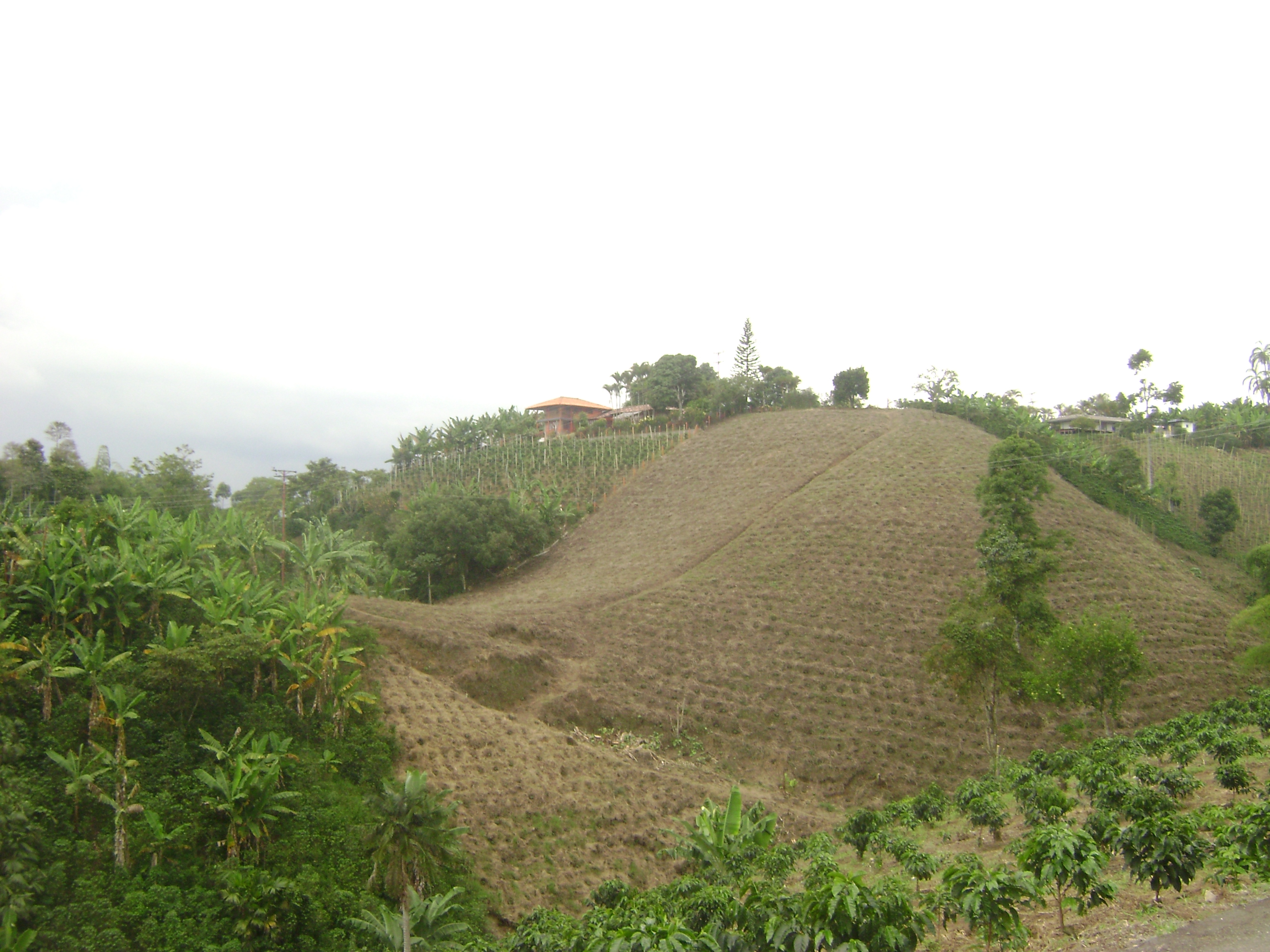 PCCC0839.jpg