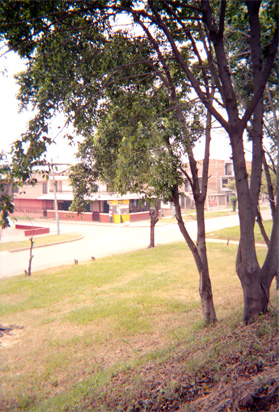 144-15.jpg
