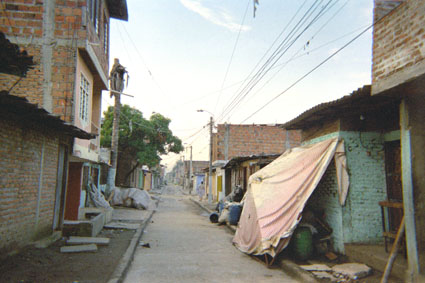 321-14.jpg