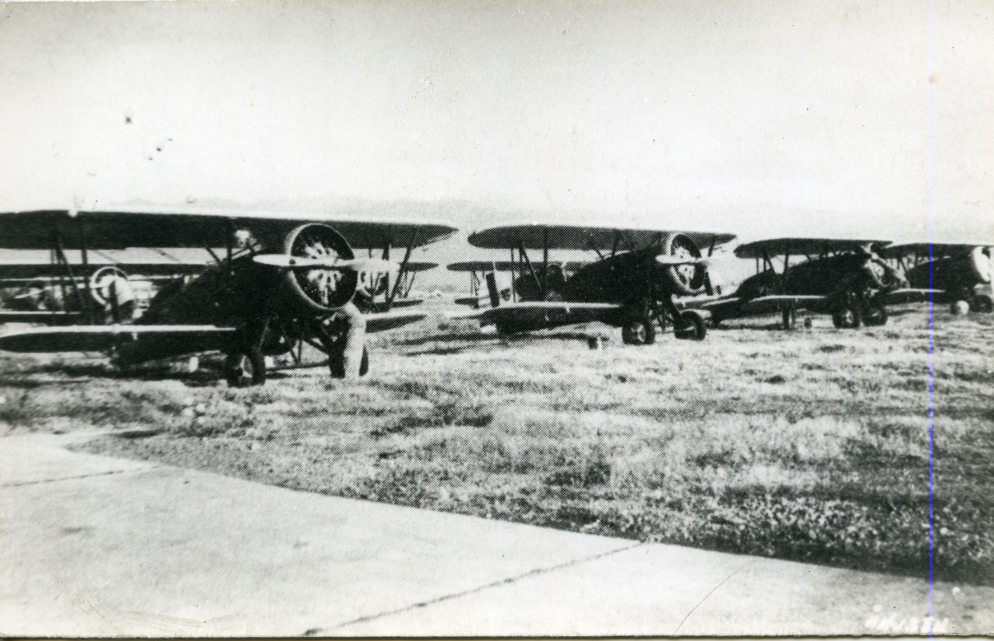 FDO021982.jpg
