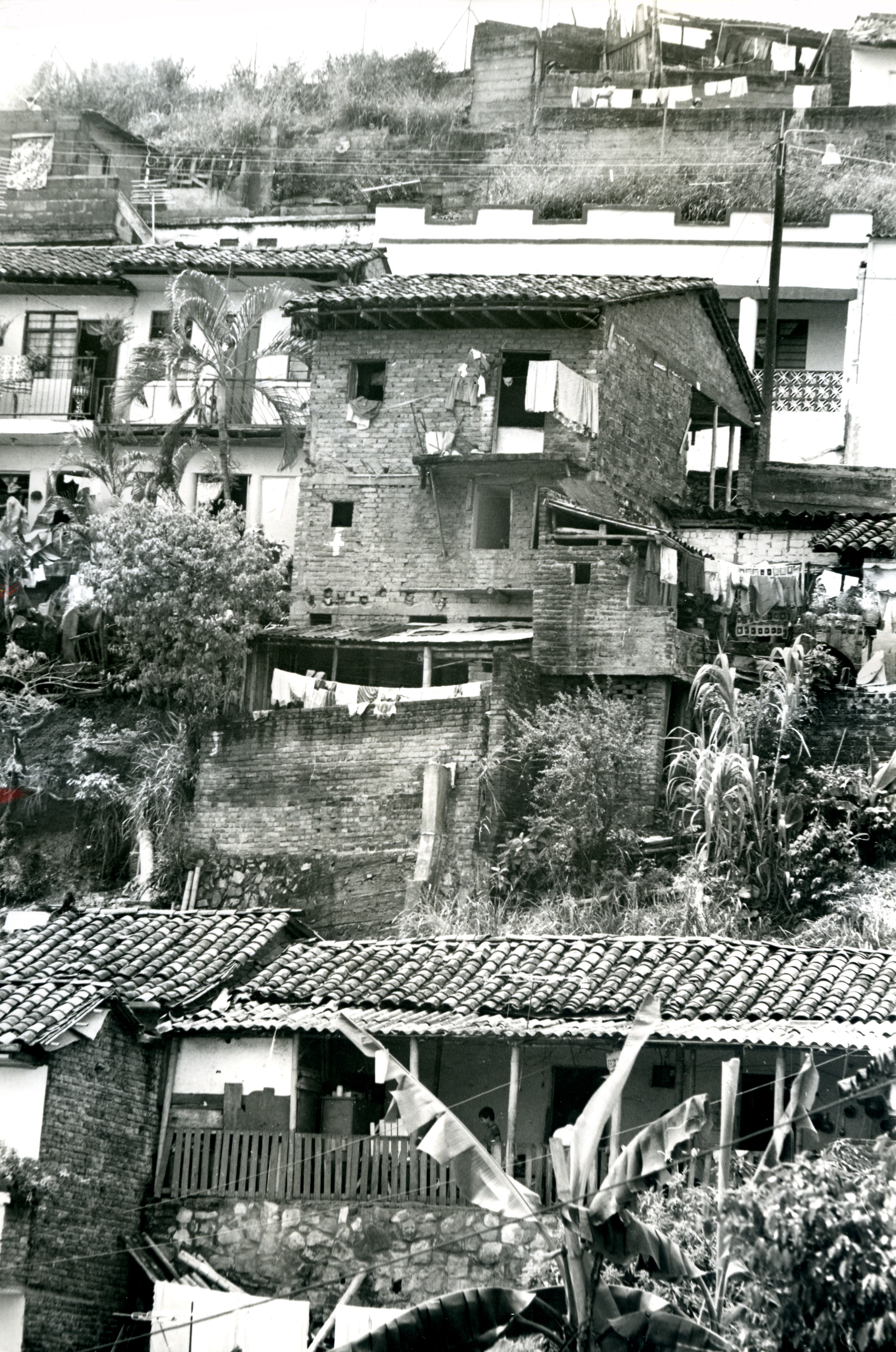 Fdo014172.jpg