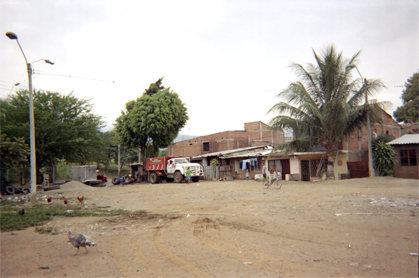 336-15.jpg