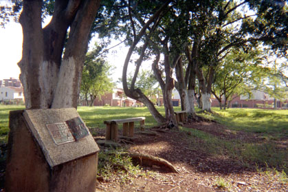 355-17.jpg