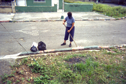 259-10.jpg