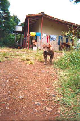 044-6.jpg