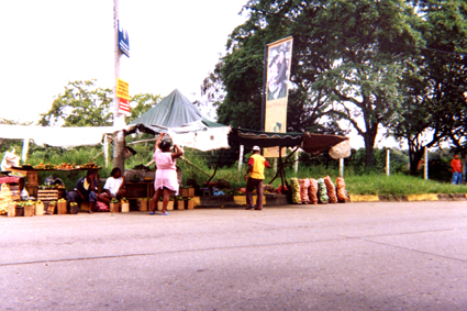 495-21.jpg