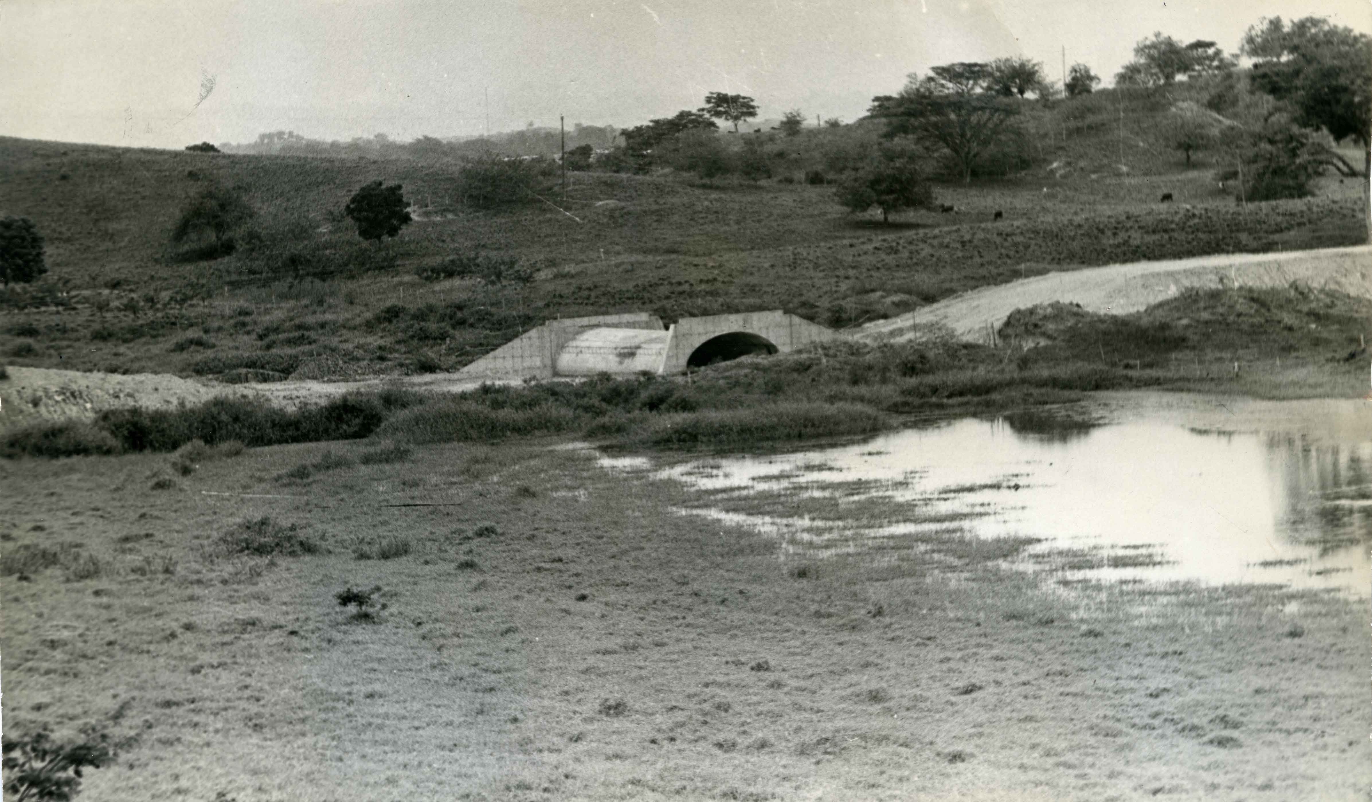FDO07610.jpg