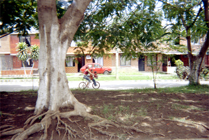 471-29.jpg