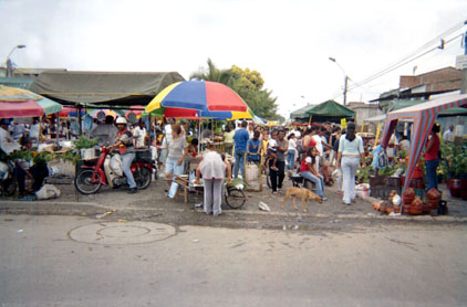 278-20.jpg