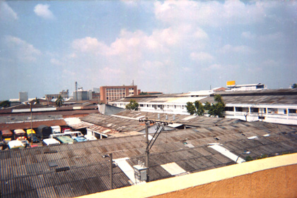 083-2.jpg