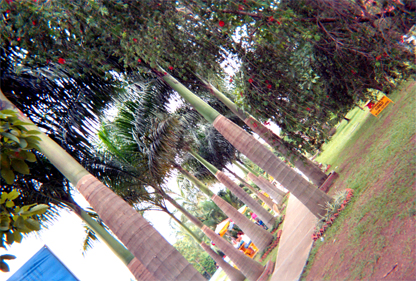 212-18.jpg