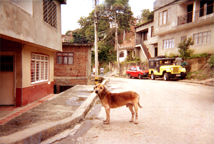 001-23.jpg