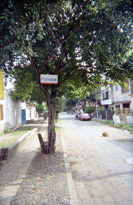 378-1.jpg