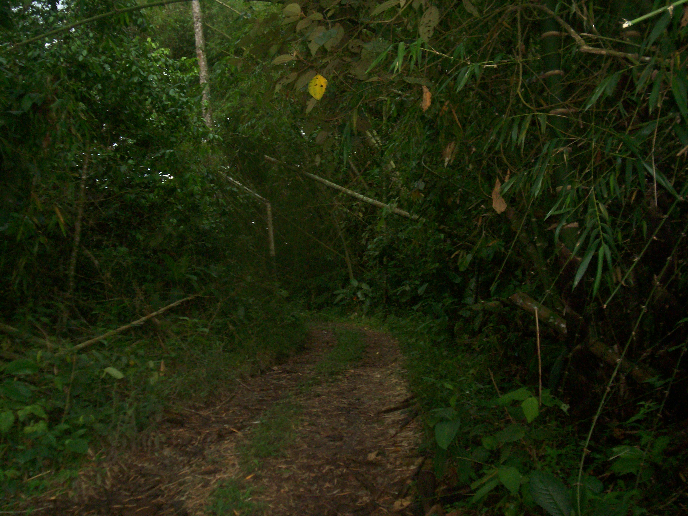 PCCC0812.jpg