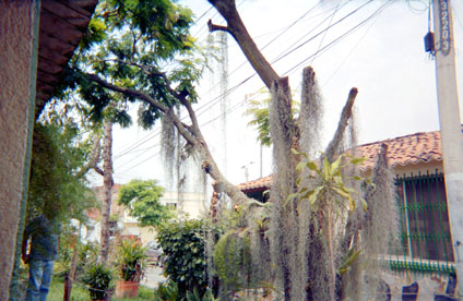 346-2.jpg