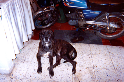 481-30.jpg