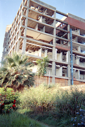 434-31.jpg