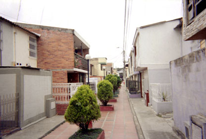 283-10.jpg