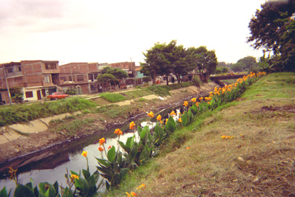 128-10.jpg