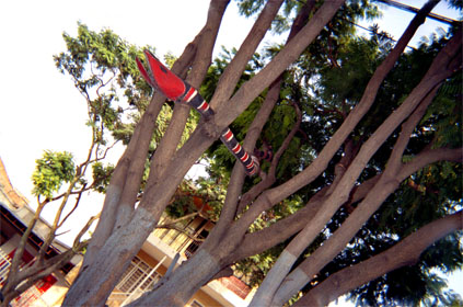 122-15.jpg