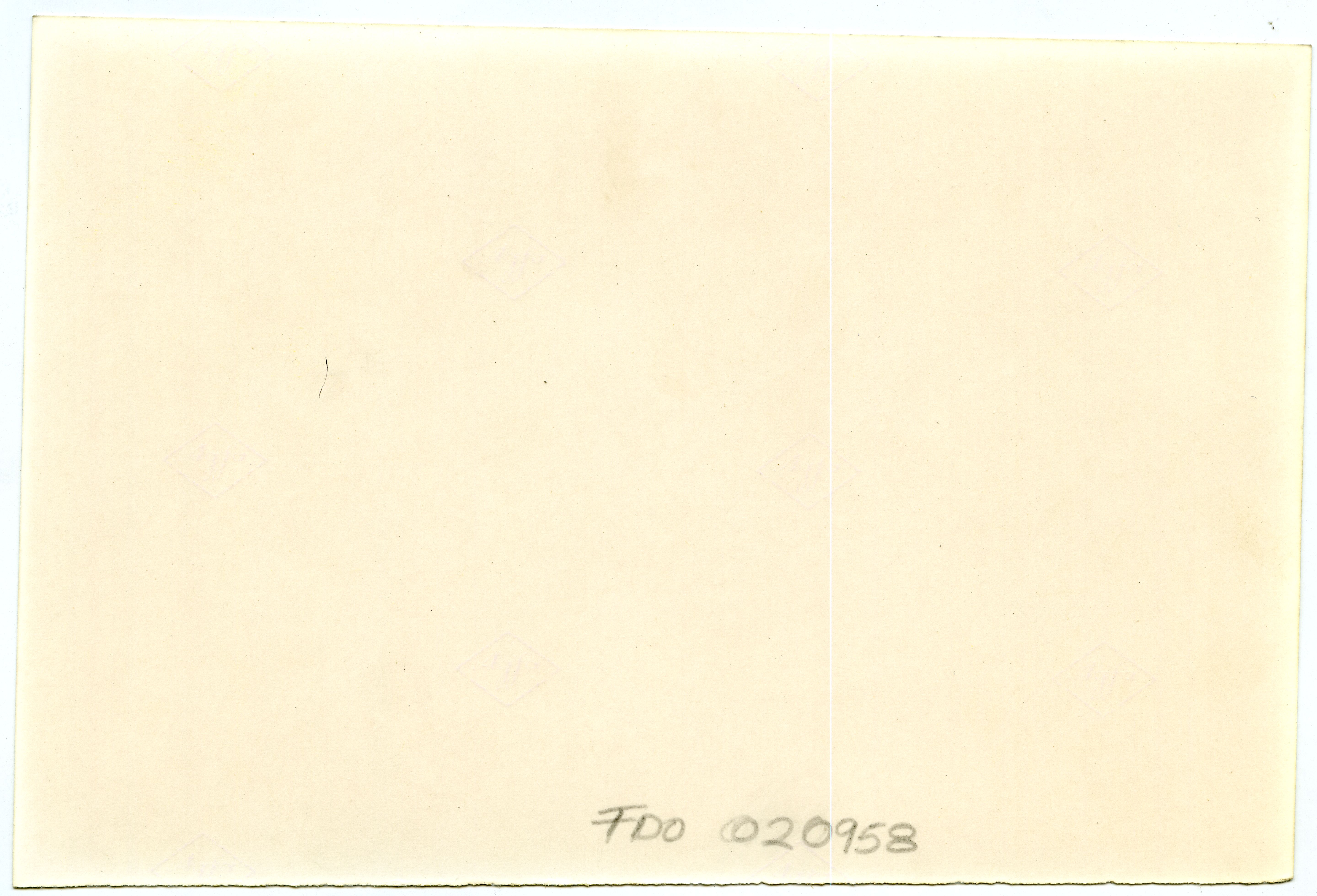 FDO020958A.jpg