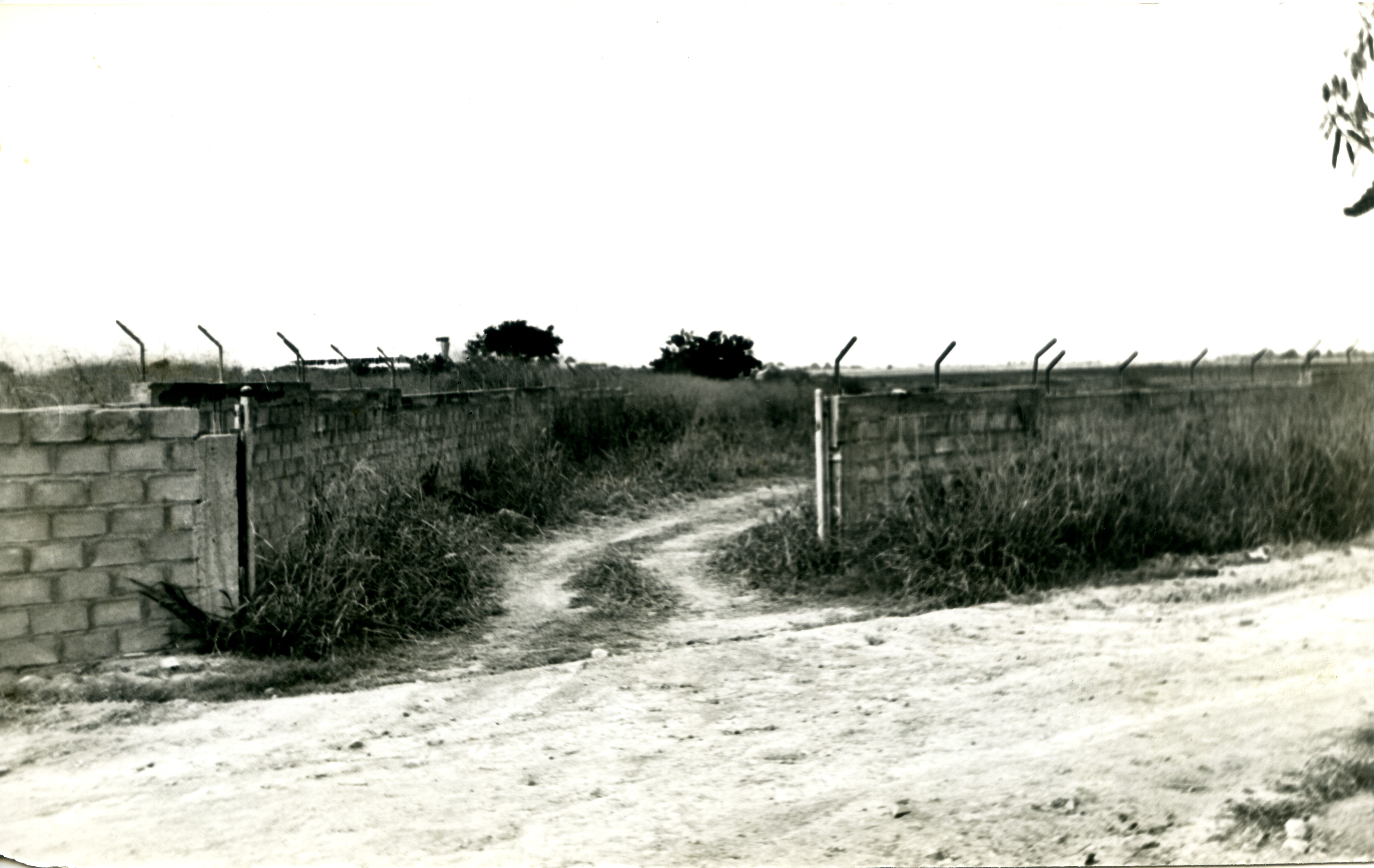 Fdo015726.jpg