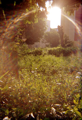 100-11.jpg