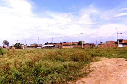 477-17.jpg