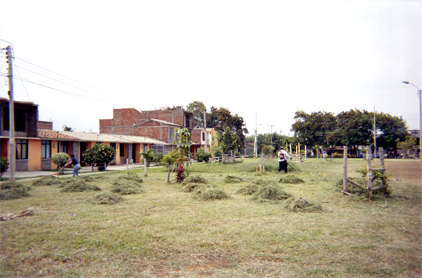 332-8.jpg