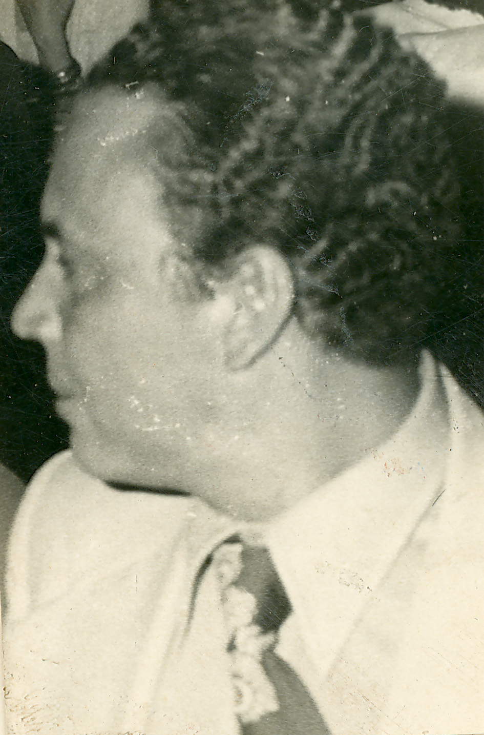 fdo01729.jpg