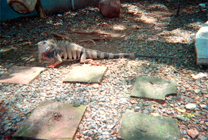 164-00.jpg