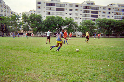 383-3.jpg