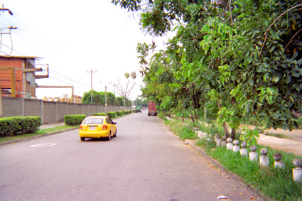 036-7.jpg