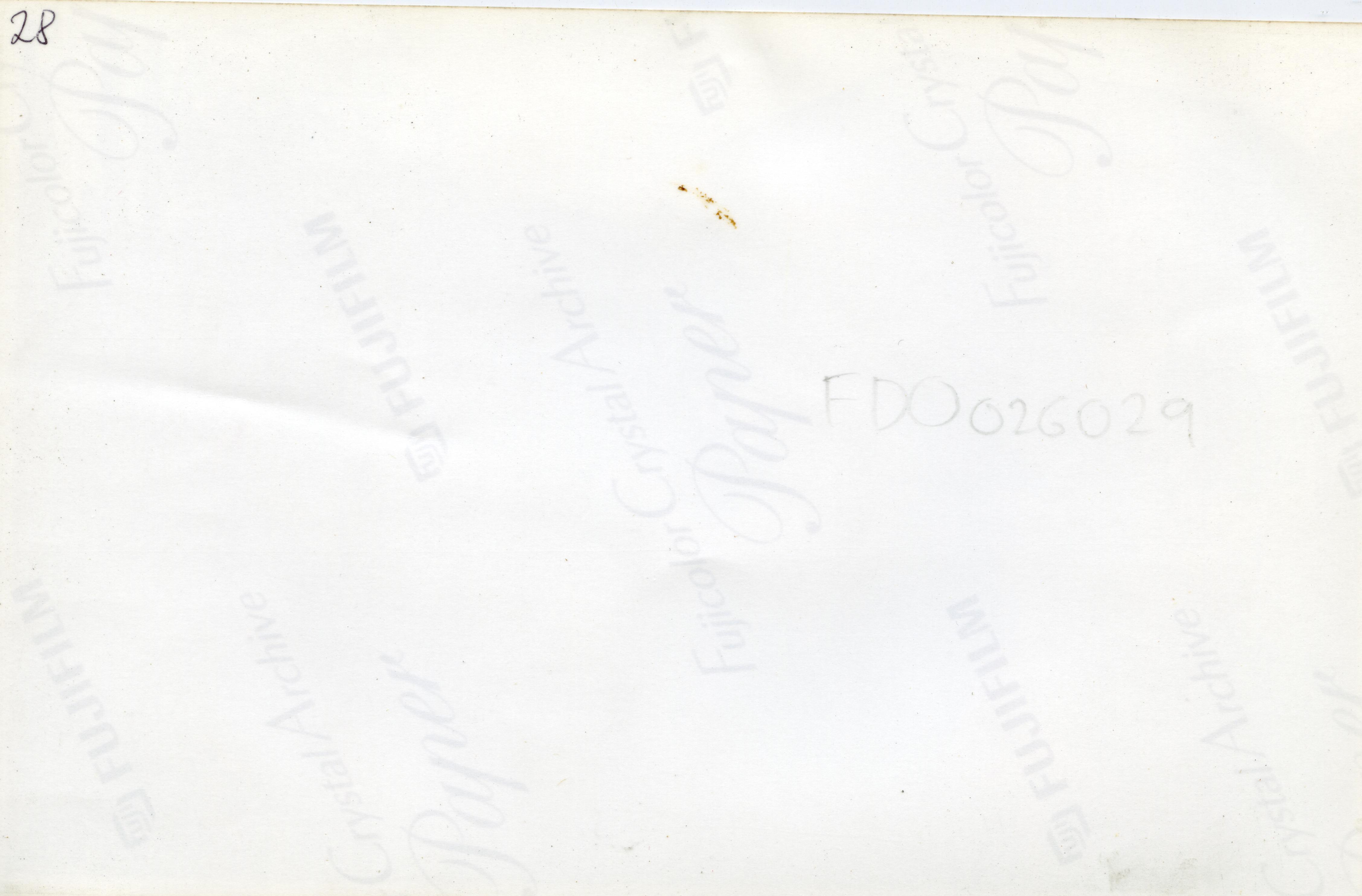 FDO026029A.jpg