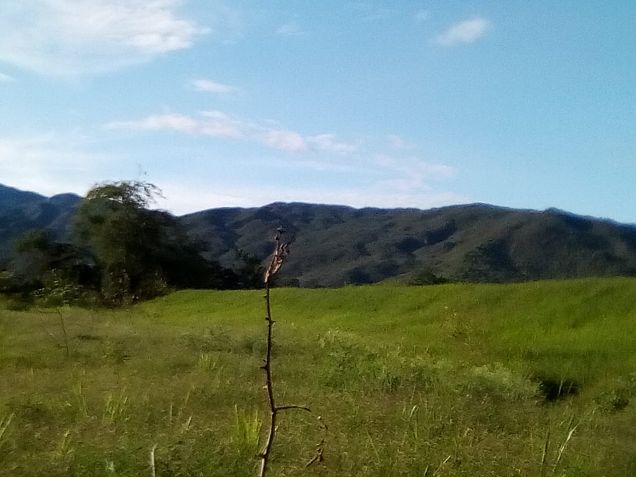 RFV000472.jpg