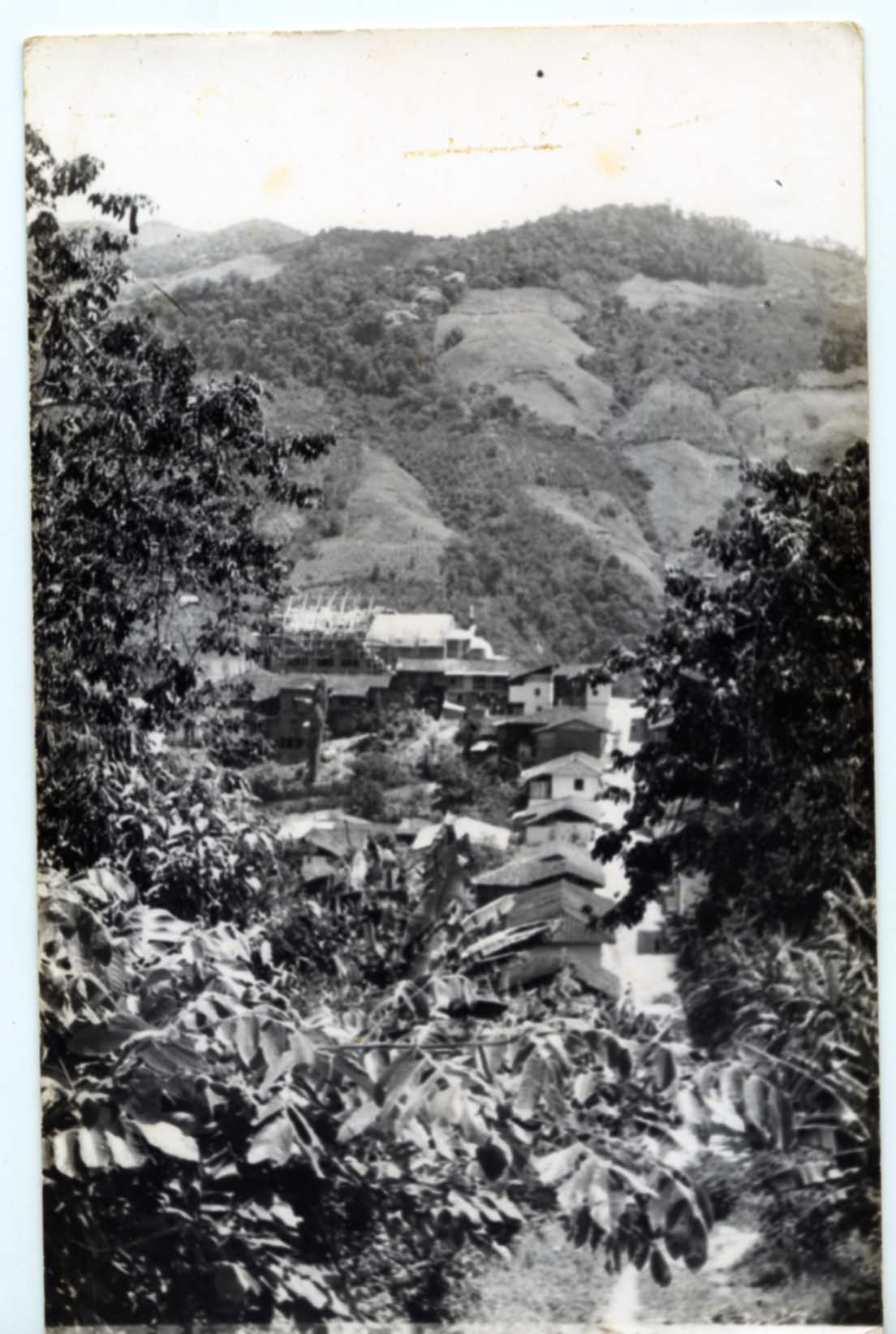 PCCC0425.jpg