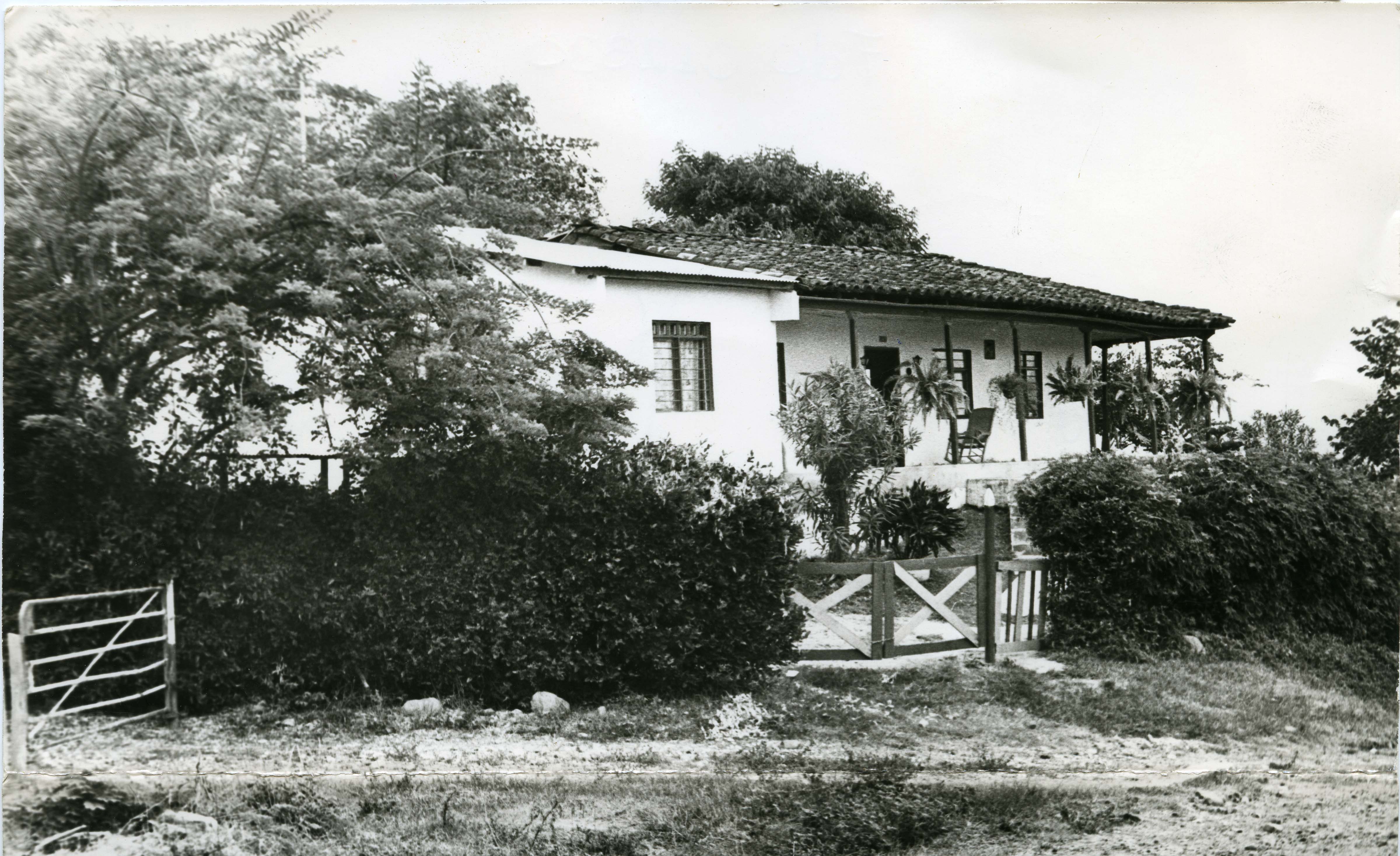 Fdo 012330.jpg