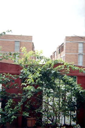375-19.jpg