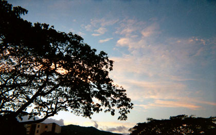 437-2.jpg