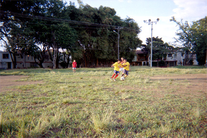 406-2.jpg