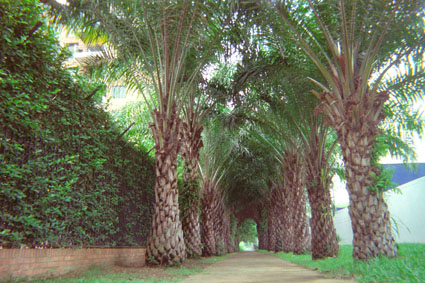 371-30.jpg