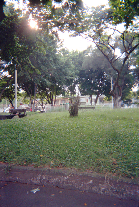 203-2.jpg