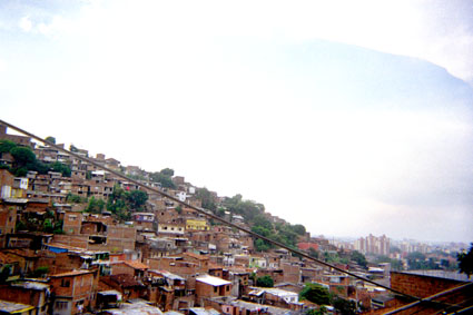 454-3.jpg